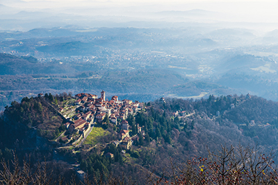 Per festeggiare i 175 anni dalla fondazione, ZEISS pianta 175 alberi sul Sacro Monte di Varese.